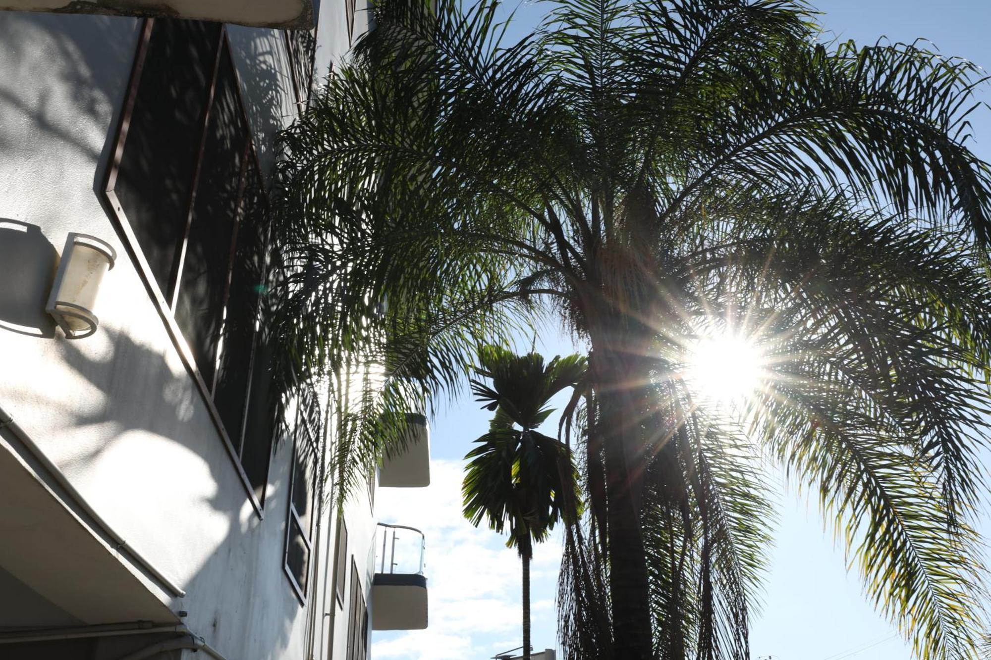 Tropical Plaza Apt Nadi Eksteriør bilde